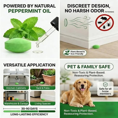 Get Rid of Rats & Mice — Without Poison, Traps, or Chemicals