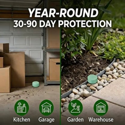 Get Rid of Rats & Mice — Without Poison, Traps, or Chemicals